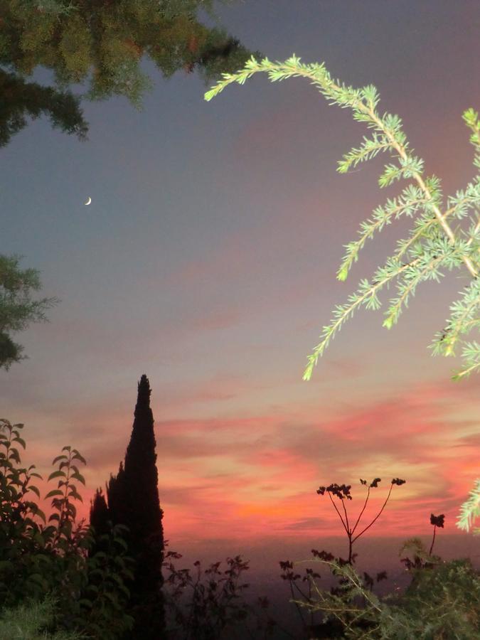 Il Giardino Di Alisa Bed & Breakfast Tivoli Bagian luar foto